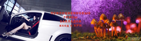 бошки Алексеевка