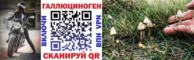 закладки  Протвино  Галлюциногенные грибы мухоморы 