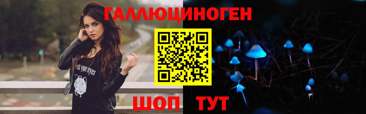 МЕФ Протвино